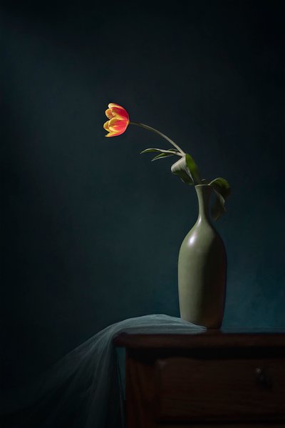 Mørkt blomsterstilleben av Lydia Jacobs
