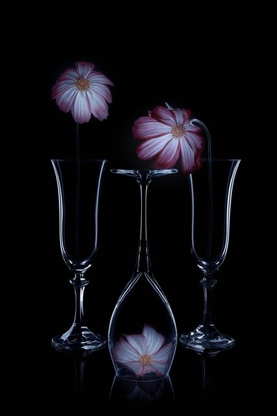 Sarte blomster og glassfløyter av Lydia Jacobs