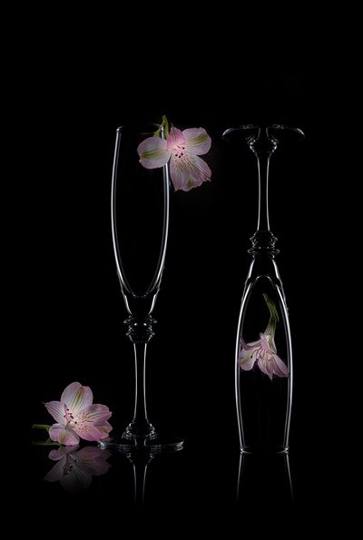 Delikat blomsterprakt av Lydia Jacobs