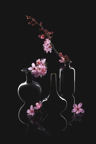 Elegante blomstervaser av Lydia Jacobs