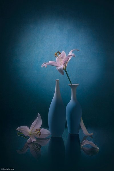 Elegante blå liljer av Lydia Jacobs