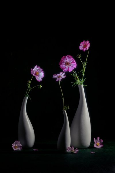 Elegant stilleben med pyntekorg av Lydia Jacobs