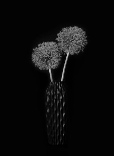 Elegant vase med løvetann av Lydia Jacobs