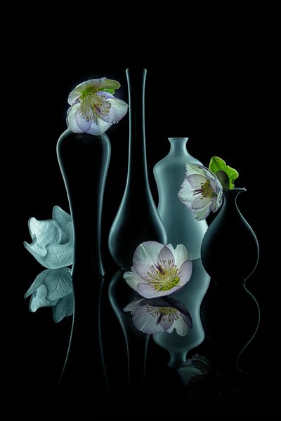 Elegant blomsterprakt av Lydia Jacobs