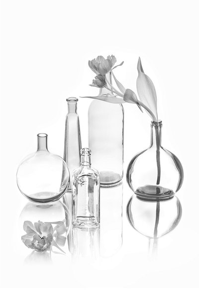 Elegante glasstulipaner av Lydia Jacobs