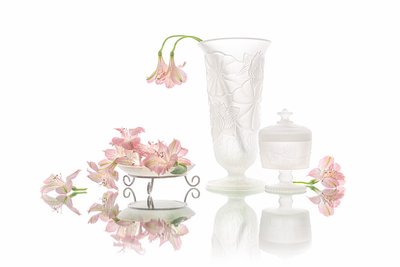 Elegant speiling av rosa blomster av Lydia Jacobs