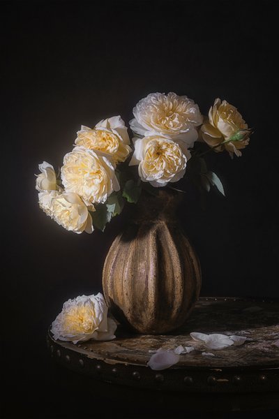 Elegant rosestilleben av Lydia Jacobs