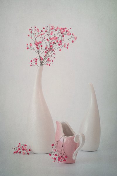 Myke rosa blomster av Lydia Jacobs