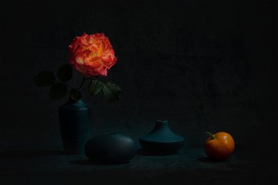 Glødende oransje rose av Lydia Jacobs