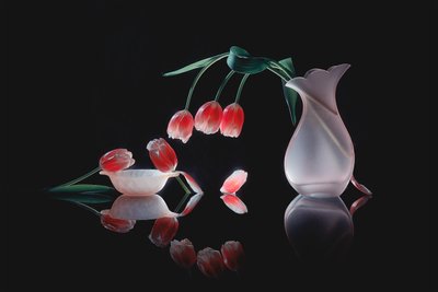 Glødende tulipanrefleksjon av Lydia Jacobs