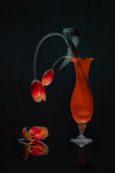 Glødende stilleben med tulipaner av Lydia Jacobs