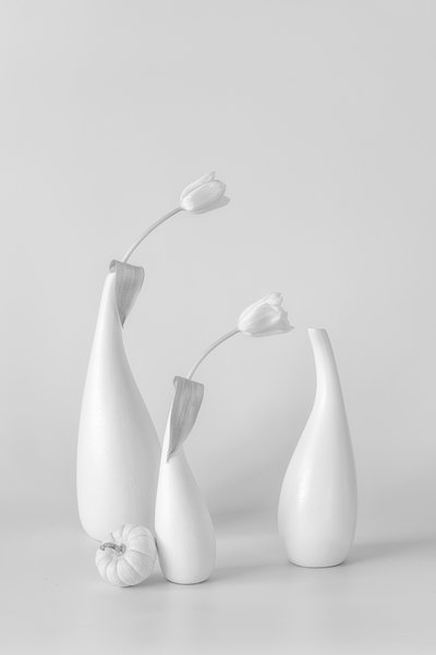 Minimalistiske hvite tulipaner av Lydia Jacobs