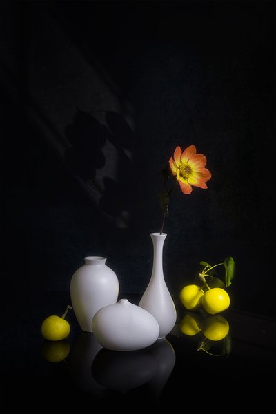 Stemningsfull blomst og frukt av Lydia Jacobs