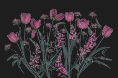Stemningsfulle rosa blomster av Lydia Jacobs