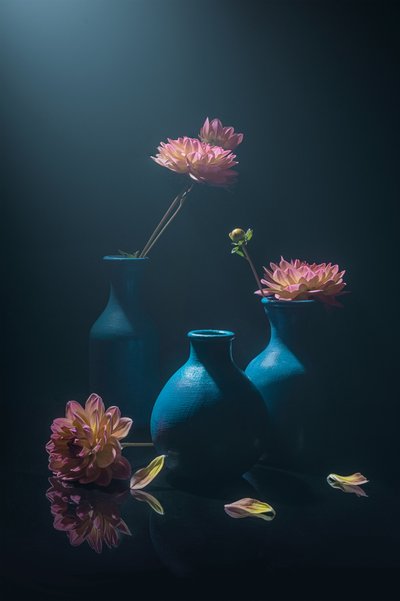 Stemningsfulle rosa georginer av Lydia Jacobs