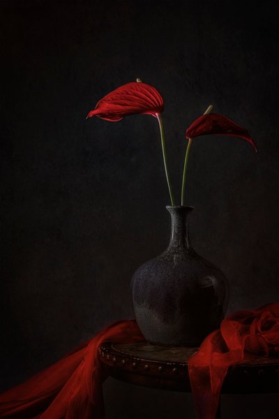 Stemningsfulle røde anthurium av Lydia Jacobs