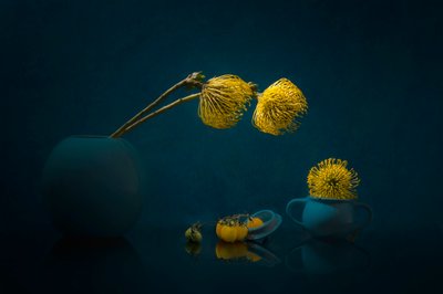 Stemningsfulle gule blomster av Lydia Jacobs