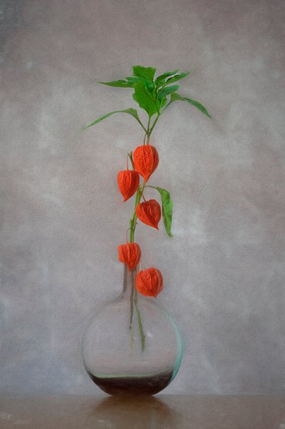 Vase med oransje lykter av Lydia Jacobs