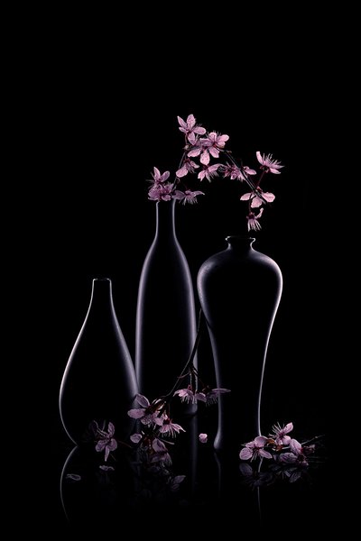 Rosa blomster i mørke vaser av Lydia Jacobs