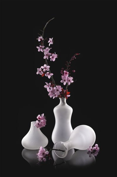 Rosa blomster, matte vaser av Lydia Jacobs