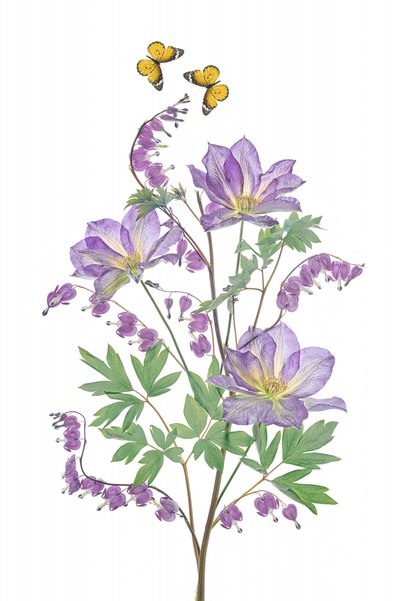 Lilla blomster og sommerfugler av Lydia Jacobs