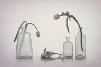 Stille tulipanstilleben av Lydia Jacobs