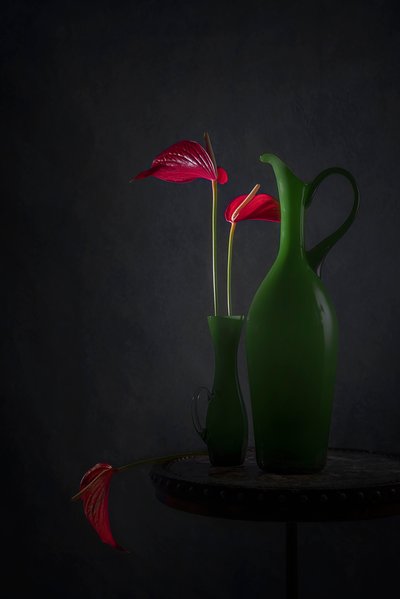 Røde anthurium, grønne vaser av Lydia Jacobs