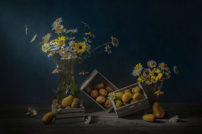 Rustikk frukt og blomster av Lydia Jacobs