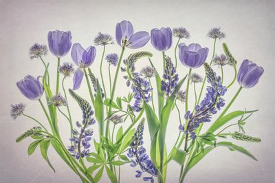Myke lilla blomster av Lydia Jacobs