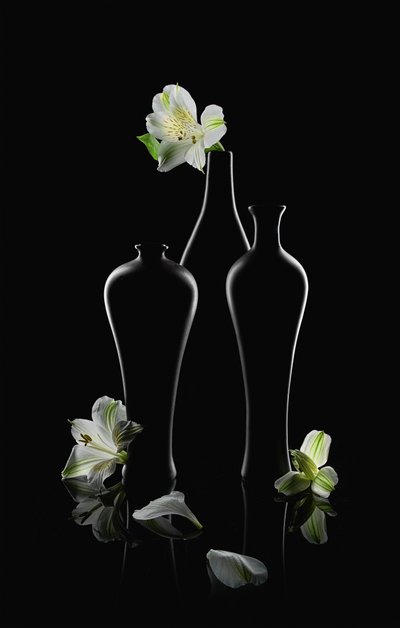 Hvite blomster, mørke vaser av Lydia Jacobs