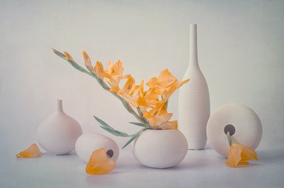 Gule blomster og hvite vaser av Lydia Jacobs
