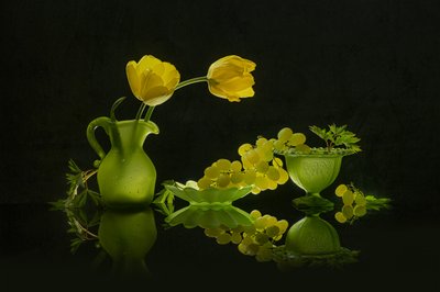 Gule tulipaner, grønne druer av Lydia Jacobs