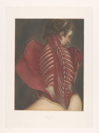 Anatomisk representasjon av ryggen av M.D. Duplain