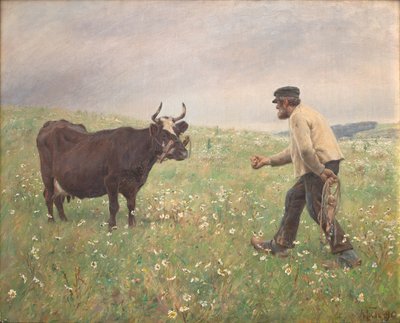 En ko løs av M. Therkildsen