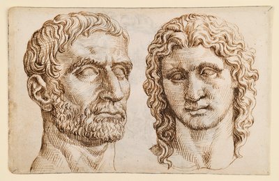 Hode av en eldre mann, hode av en ung mann av Maarten van Heemskerck