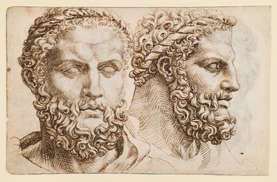 To studier etter hodet av Vatikanets «Herkules» av Maarten van Heemskerck