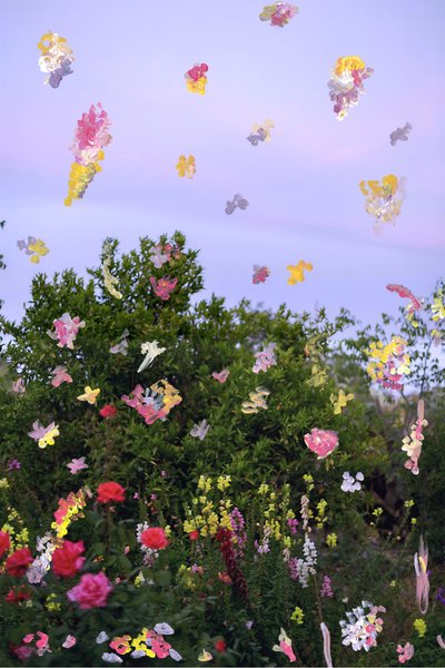 Abstrakterte blomster, 2019 (akrylmaling på arkivpigmenttrykk) av Madeleine Gross