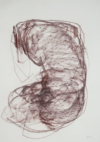 Torso 5, 2022 (kull på papir) av Madgalena Morey