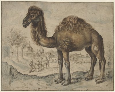 Dromedar i et østlig landskap med en by av Maerten de Vos