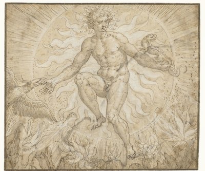 Ignis Four Elements (serietittel) av Maerten de Vos