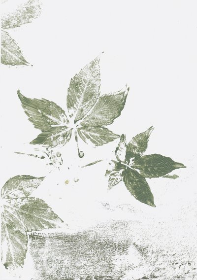  av Maira Ribena