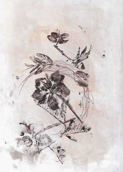  av Maira Ribena