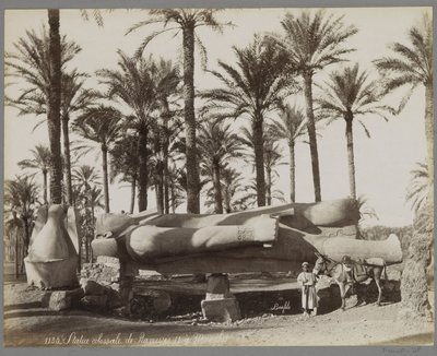 Liggende statue av Ramses II i Memphis, i forgrunnen en gutt med et esel Statue colossal de Ramesses II à Memphis (tittel på objekt) av Maison Bonfils