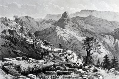 På marsj nær Dongolo, gravert av James Ferguson, 1868 av Major A.G.F. Hogg