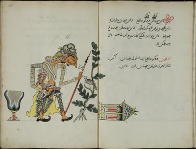 Gurkemeie Java, MS 41 s. 32, bilde 16, 1830 av Malay Malay