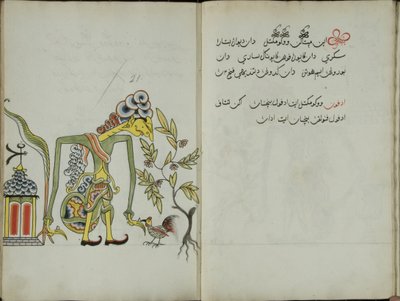 Gurkemeie Java, MS 41 s. 42, bilde 21, 1830 av Malay Malay