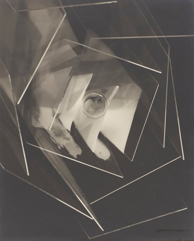 Fly av Man Ray