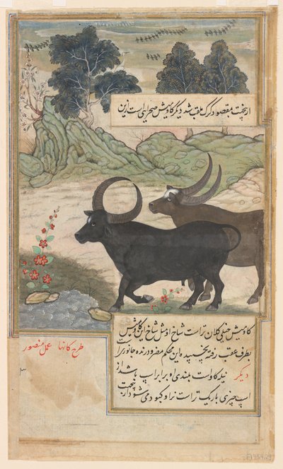  av Mansur (fl.c.1590 1630)