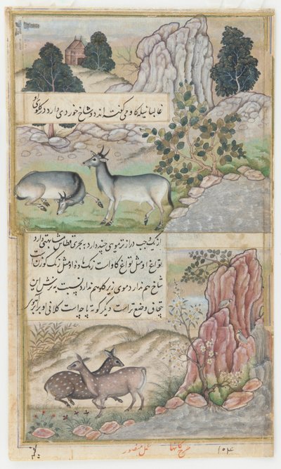  av Mansur (fl.c.1590 1630)