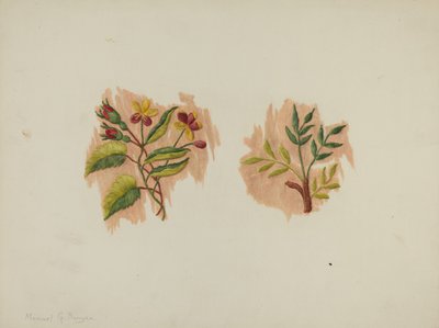 Fragment av silke underkjole, ca. 1939. av Manuel G. Runyan